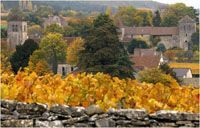 Domaine Rousseau Chambertin